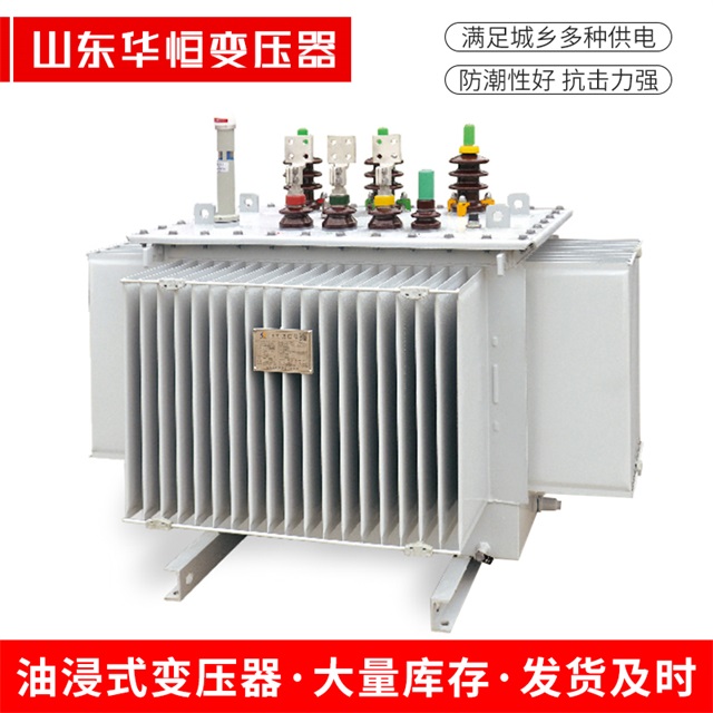 S13-10000/35贺州贺州贺州电力变压器